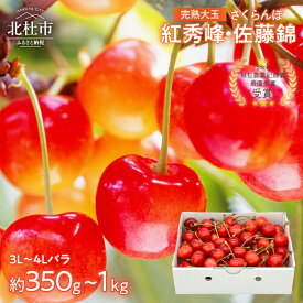 【ふるさと納税】 さくらんぼ 完熟 大玉 バラ 3L～4L サイズ 【2026年発送 先行予約】 選べる容量 約350g 約500g 約700g 約1kg 佐藤錦 紅秀峰 優良系統 チェリー 果物 やまなしGAP認証 フルーツ グランプリ ※2026年6月中旬以降順次発送 岩原果樹園 山梨県 北杜市 送料無料