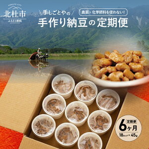 yӂ邳Ɣ[Łz [ 肵Ƃ y  6A  嗱[ kmsY哤 _Ew엿sgp NHi Ԃ[