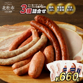 【ふるさと納税】 ソーセージ ベーコンステーキ ハム 詰め合わせ 660g 3種類 セット バーベキュー キャンプ パーティー チョリソー シポラタ ジャーマン 荒挽きフランク ベーコン 小分けパック 食べ比べ オールポーク 豚肉100％ 天然腸 手作り 山梨県 北杜市 送料無料