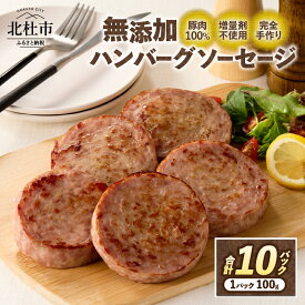 【ふるさと納税】 ハンバーグ ソーセージ ウインナー 無添加 10パック バーベキュー キャンプ パーティー 手作り フランク オールポーク 豚肉100％ 天然腸 山梨県 白州 北杜市 送料無料