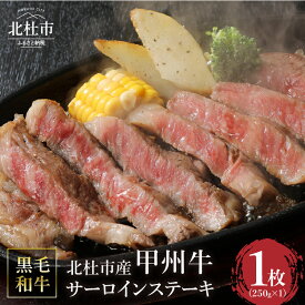 【ふるさと納税】 甲州牛 黒毛和牛 肉 サーロイン ステーキ サーロインステーキ 山梨県 北杜市産 A4・5ランク級 250g 送料無料