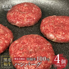 【ふるさと納税】【緊急支援品】 甲州牛100％ハンバーグ 山梨県 北杜市産 180g×4ヶ入 送料無料