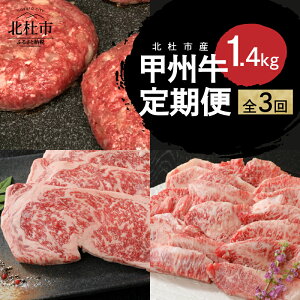 yӂ邳Ɣ[Łz  bB 3 v1.4kg јa T[C Xe[L 1 250g ē Jr 500g no[O 180g×4 iN A4ȏ   a ґ Xe[L o[xL[ ~