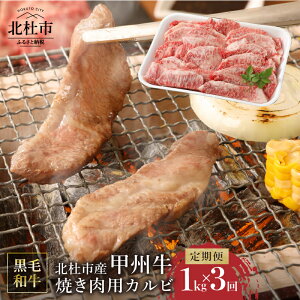 yӂ邳Ɣ[Łz y3ցz bB Jr ēpJr јa R kmsY A4ȏ 1kg×3 3  