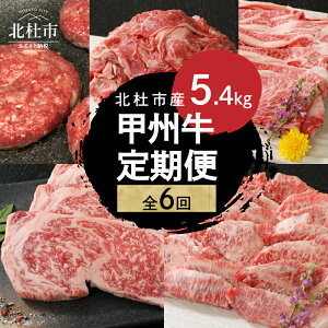 yӂ邳Ɣ[Łz  bB 6 v5.4kg јa T[C Xe[L 250g×3 ēp Jr [X ₫p 1kg no[O 180g×4 ؂藎Ƃ 1.2kg iN A4ȏ 