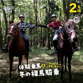 【ふるさと納税】 乗馬体験 チケット ペア ペアチケット 乗馬 裸馬 自然 初心者も安心 11月〜3月実施 体験 馬 騎乗 送料無料