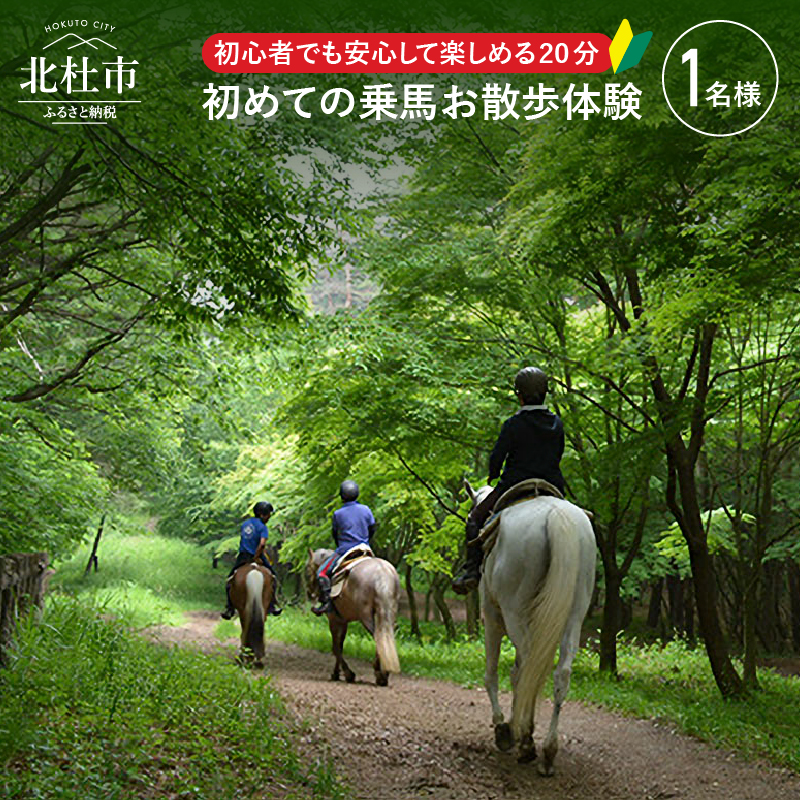 乗馬が初めての方でも、馬に乗ってお散歩（外乗り）を20分楽しめます。 【ふるさと納税】 乗馬体験 乗馬 乗馬散歩 馬 自然 初心者も安心 送料無料