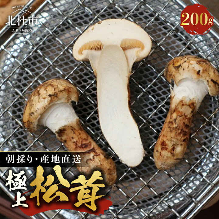 楽天市場】【ふるさと納税】 松茸 200g 北杜市 斑山 国産 まつたけ 