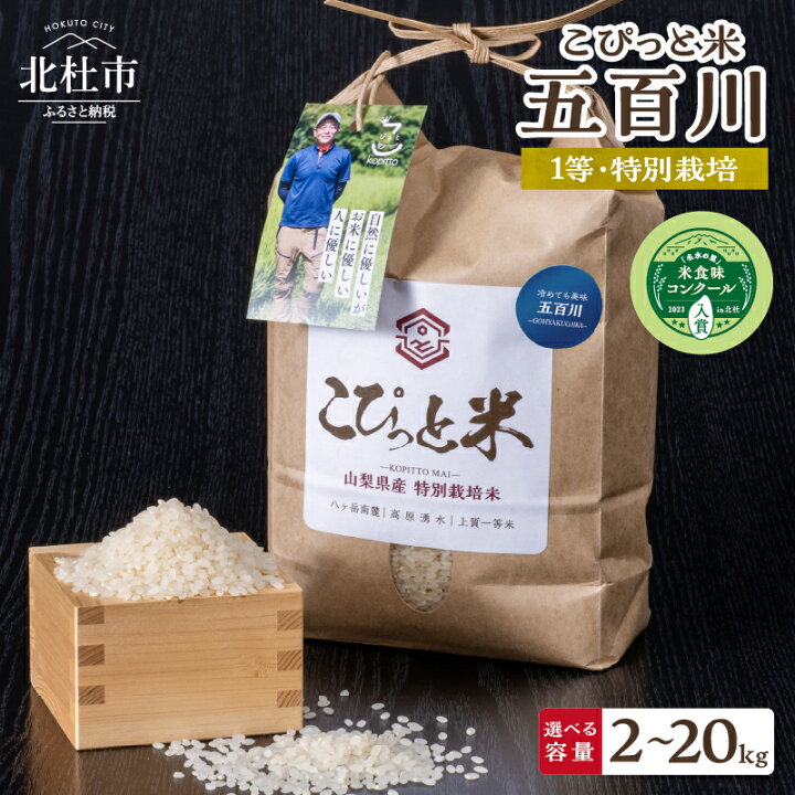 楽天市場】【ふるさと納税】 米 精米 【令和6年度米】 選べる容量 20kg 