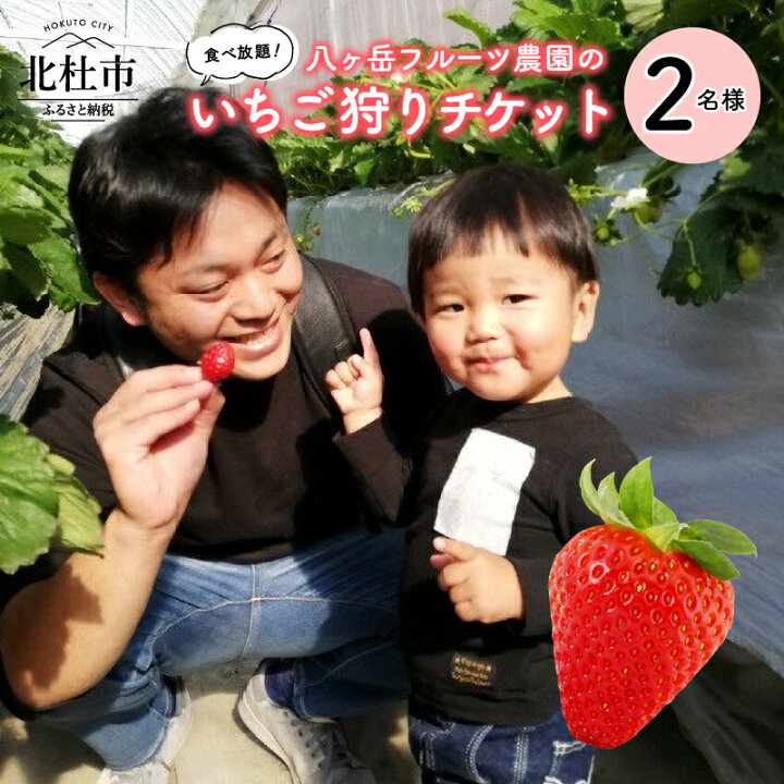 楽天市場 ふるさと納税 いちご イチゴ狩り チケット 収穫体験 紅ほっぺ あきひめ やよいひめ さちのか さがほのか おいcベリー 2名様分 食べ放題 送料無料 山梨県北杜市