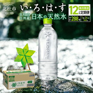 yӂ邳Ɣ[Łz _r[Ly[{^ yցz EÉE VR 540ml xX 24{ Iׂ 3 6 12 kmsBY   ~lEH[^[ RJER[