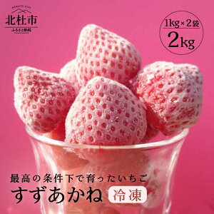 夏 いちごの人気商品 通販 価格比較 価格 Com