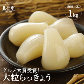【ふるさと納税】 らっきょう 大粒 国産無添加 大粒らっきょう グルメ大賞受賞 1kg 500g×2袋 北杜市 送料無料 10000円 10000 1万円
