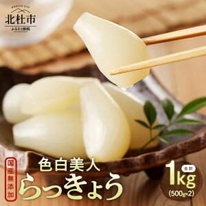 yӂ邳Ɣ[Łz 傤 YY Fl傤 1kg 500g×2 kms 