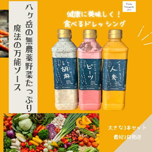 yӂ邳Ɣ[Łz hbVO 540ml 3{ Zbg Â L@  lQ r[c Ӗ \ tF`^ T_ \ wsgp ۑsgp F Y kms 