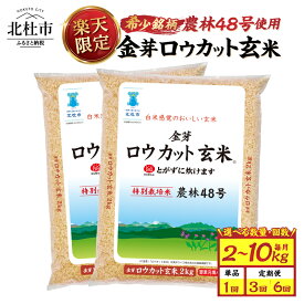 【ふるさと納税】 ＼在庫復活！／ 金芽ロウカット 玄米 無洗米 数量限定 東洋ライス 選べる容量 令和7年度米 2kg 4kg 10kg 農林48号 糖質オフ 米 小分け 仕送り こめ コメ kome げんまい 山梨 北杜市 送料無料 10000円 15000円 以内 楽天 スペシャルデイズ 期間限定