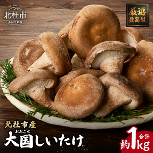 yӂ邳Ɣ[Łz  1kg 卑 ۏ I  ő ̂  W[V[ VN RY kmsY 