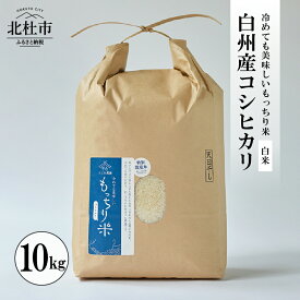 【ふるさと納税】 米 コシヒカリ 令和5年度 白米 10kg 天日干し米 精米 白州産 もっちり米 特別栽培米 送料無料