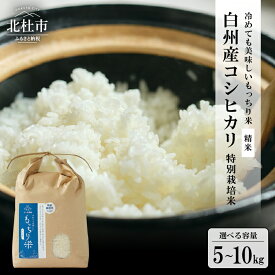 【ふるさと納税】 米 コシヒカリ 白米 精米 令和7年度米 選べる容量 5kg 6kg 10kg 山梨県産 白州産 精米 もっちり米 特別栽培米 甘み 貴重 もちもち おにぎり お弁当 送料無料