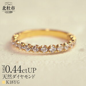 yӂ邳Ɣ[Łz O _Ch w ANZT[ K18 or Pt900 0.44ctUP VR_Ch n[tG^jeBO ӕʏt ۏ؏t WG[P[Xt v[g 