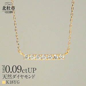 yӂ邳Ɣ[Łz lbNX _C Iׂn YG WG K18 VR_Ch LADDER ӕʏt ۏ؏t WG[P[Xt v[g 