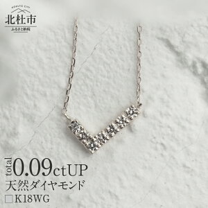 yӂ邳Ɣ[Łz lbNX _C Iׂn YG WG K18 VR_Ch WING ӕʏt ۏ؏t WG[P[Xt v[g 
