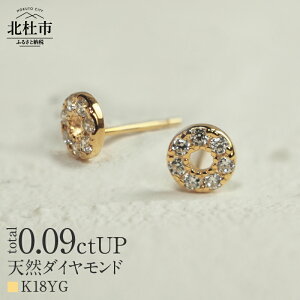 【ふるさと納税】 ピアス ダイヤ アクセサリー レディース ジュエリー K18 選べる地金 YG WG イエローゴールド ホワイトゴールド ダイヤモンド HALO 天然 鑑別書付 保証書付 ジュエリーケース付