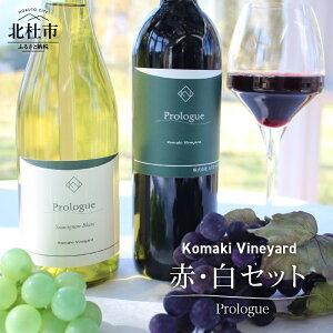 yӂ邳Ɣ[ŁzC Zbg ԃC C Komaki Vineyard [ L@͔| RȖ킢 x ̓ ̓ 