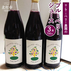 yӂ邳Ɣ[Łz u[x[W[X 720ml Iׂ{ 2{ 3{ ʏ` nCubV rbgAC uh n ʕ W[X ʌ Mtg 蕨 O-B-Ix\_ R kmsY 