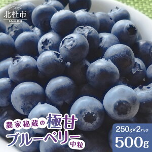 yӂ邳Ɣ[Łz u[x[ Ɋ y2026Ns\z Iׂe v500g v1kg nCubVEu[x[n rbgACEu[x[n n Z Â ① Ԍ 7`9