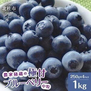 yӂ邳Ɣ[Łz u[x[ Ɋ y2026Ns\z Iׂe v500g v1kg nCubVEu[x[n rbgACEu[x[n n Z Â ① Ԍ 7`9