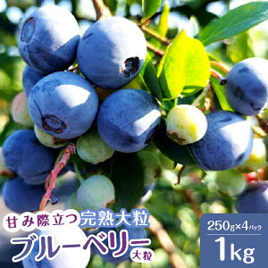 yӂ邳Ɣ[Łz u[x[ n 嗱 y2026Ns\z Iׂe v500g v1kg rbgACEu[x[ Â t[c  ① [Og pP[L gbsO Ԍ 