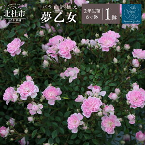 yӂ邳Ɣ[Łz o c 1 A アԂ炫   6 2Nc K[fjO S ̓ ̓ 