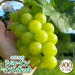 �y�ӂ邳�Ɣ[�Łz �V���C���}�X�J�b�g 900g 2�`3�[ �R�� ���ʌ��� ���Ԍ��� �t���[�c 2026�N���� ��s�\�� �Ԃǂ� �u�h�E ���� ���X���� �W���[�V�[ �k�m�s�Y �ʕ� �}�X�J�b�g ������ ����