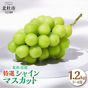 �y�ӂ邳�Ɣ[�Łz �V���C���}�X�J�b�g 1.2kg 3�`4�[ �k�m�s�Y �y2026�N�����z���I �}�X�J�b�g �Ԃǂ� ���� ��Ȃ� �t���[�c �ʕ� ���y���� �݂��݂����� �ƒ�p �����p ������ ���ʌ��� ��