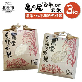 【ふるさと納税】 米 【令和7年度新米】令和7年度米 白州米 亀の尾 3kg 選べる種類 白米 玄米 農薬不使用 化学肥料不使用 天日干し 幻の米 希少 低タンパク 山梨県 北杜市 送料無料