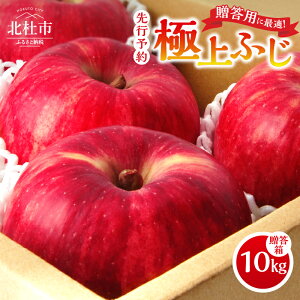 【ふるさと納税】 2025年先行予約 りんご 山梨県産 ふじ 極上ふじ 田丸りんご園 選べる 容量 2kg〜10kg フルーツ 果物 果実 贈答 ギフト プレゼント 山梨 八ヶ岳南麓 北杜市 明野 送料無料