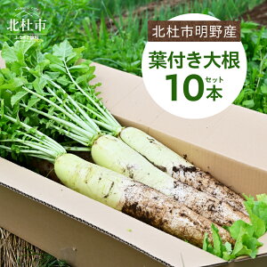 yӂ邳Ɣ[Łz y2025Ns\z tt 卪 10{ Zbg  10kgx kmsY _CR _sgp L@엿 VN 卪t H ϕ Ԍ R kms