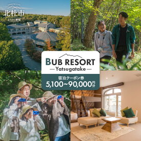 【ふるさと納税】 チケット 宿泊 クーポン券 選べる金額 5,100円分 〜 90,000円分 宿泊券 「BUBRESORT Yatsugatake」 体験型宿泊施設 山梨県 北杜市 八ヶ岳 体験