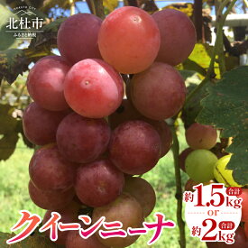 【ふるさと納税】 ぶどう クイーンニーナ 選べる容量 約1.5kg 約2kg 3房〜4房 山梨県産 ブドウ フルーツ 果物 赤ぶどう 低農薬 期間限定 数量限定 冷蔵 【2026年発送】 北杜市 送料無料