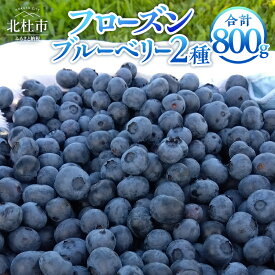 【ふるさと納税】 ブルーベリー 400g×2品種 計800g 完熟 大粒 朝採り 無農薬 冷凍 フローズンブルーベリー 異なる2品種 アソート チャック付きパック 八ヶ岳南麓育ち 送料無料