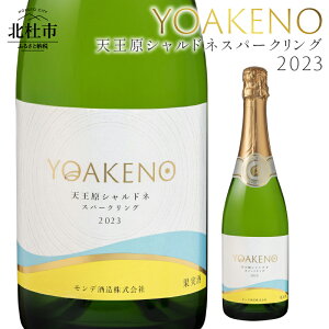 yӂ邳Ɣ[Łz C C YOAKENO VVhl Xp[NO 2023 A h AR[11  720ml 1{ ̓ ̓ 