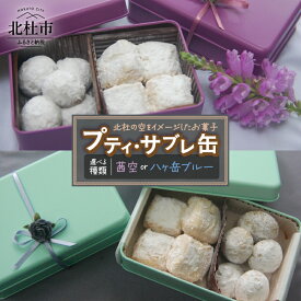【ふるさと納税】 サブレ 焼き菓子 サブレ缶 ビスケット 詰合せ セット 9個入り スノーボール チーズサブレ ほうじ茶 紅茶 アーモンド チーズ ギフト スイーツ お菓子 洋菓子 贈答品 プレゼント 送料無料 バレンタイン バレンタインデー チョコ以外 ホワイトデー お返し