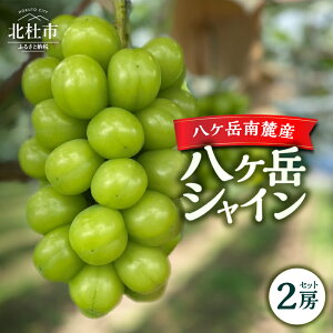 yӂ邳Ɣ[Łz VC}XJbg 2025N s\ 2[ Zbg 1kg Ԍ ʌ xVC  Ԃǂ uhE VC }XJbg t[c ʕ i 嗱 Â ̂ 