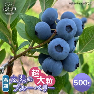 yӂ邳Ɣ[Łz u[x[ 嗱 Ⓚ Iׂe 500g 1000g _ Ԍ ʌ t[c  Ⓚt[c VN W[X W َq R kms 쒬  9000