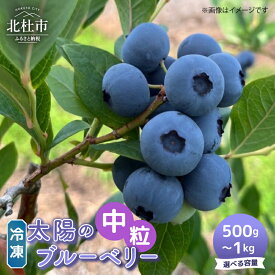 【ふるさと納税】 ブルーベリー 中粒 冷凍 選べる容量 500g 1000g 無農薬 期間限定 数量限定 フルーツ くだもの 冷凍フルーツ 新鮮 ジュース ジャム お菓子 山梨県 北杜市 明野町 送料無料 7000円 7000 10000円以下