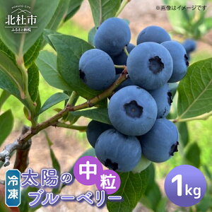 �y�ӂ邳�Ɣ[�Łz �u���[�x���[ ���� �Ⓚ �I�ׂ�e�� 500g 1000g ���_�� ���Ԍ��� ���ʌ��� �t���[�c �������� �Ⓚ�t���[�c �V�N �W���[�X �W���� ���َq �R���� �k�m�s ���쒬 �������� 7000�~