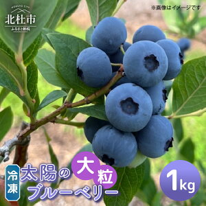 yӂ邳Ɣ[Łz _r[Ly[{^ Ⓚ Iׂe 500g 1000g 嗱 _ Ԍ ʌ t[c  Ⓚt[c VN W[X W َq R kms 