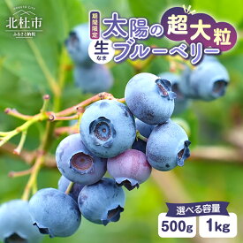 【ふるさと納税】 【2027年先行予約】 ブルーベリー 超大粒 選べる容量 500g 1000g 無農薬 フルーツ 果物 くだもの デザート 生果 生果実 ジャム ヨーグルト 期間限定 山梨県産 北杜市 明野町 送料無料