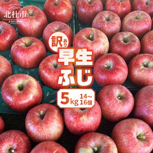 yӂ邳Ɣ[Łz  󂠂 2025Ns\ RY ӂ Ԍ 5kg 14`16 ƒp KiO t[c ʕ ʎ R kms 